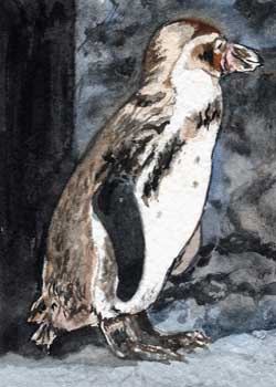 "Penguin" by Beverly Larson, Oregon WI - Watercolor
